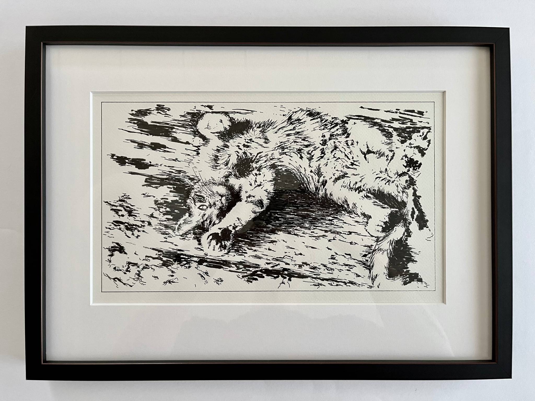 Detailed ink drawing of a cat named Pumpkin